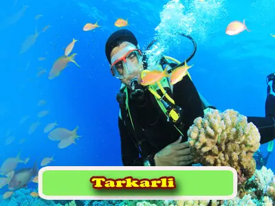 26 Tarkali Beach